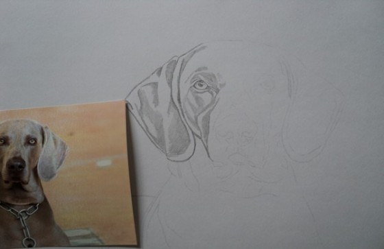 Desenho de cães passo a passo grátis