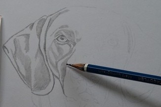 Aulas grátis desenho de cães passo a passo grátis