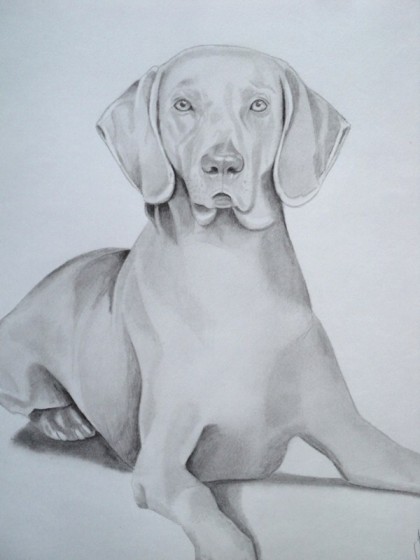 Curso desenho de cães aulas grátis