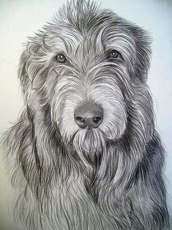 Desenho de cães aulas grátis
