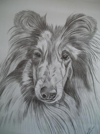 Desenho de cães aulas grátis